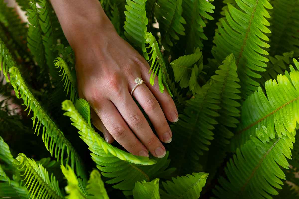 Picture of the engagement ring photographed in green plant 